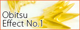 obitsu_effect01