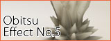 Obitsu Effect05